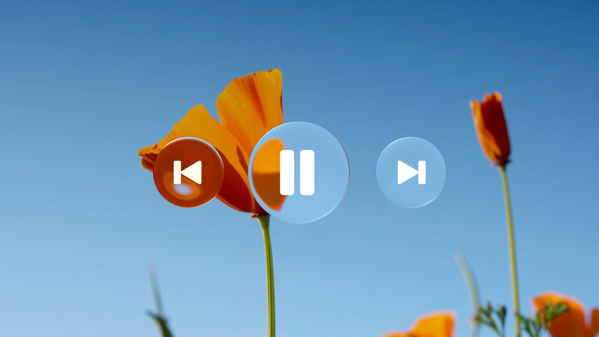 Liquid Glass-iOS 26 重塑用户界面的感官体验｜365天的好设计NO.100