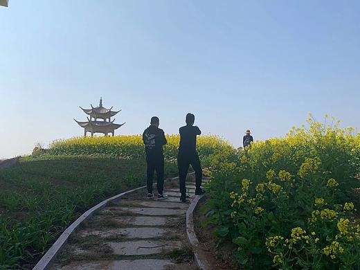 油菜花开了（个人主页-ZNzIwNjUyODA=） - 风光摄影 - 站酷设计师影子老师原创素材 - 站酷ZCOOL