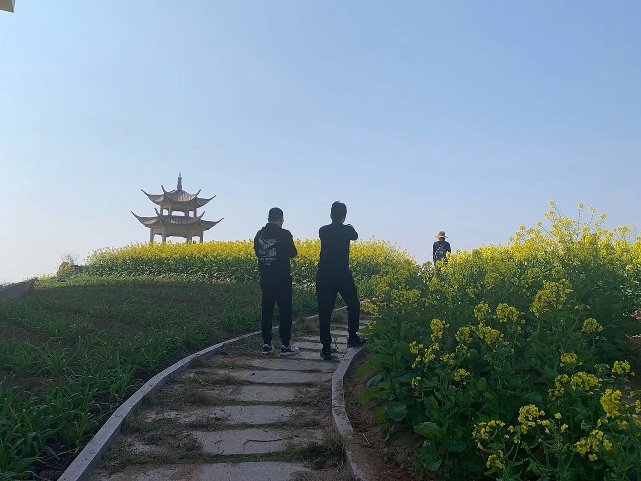 油菜花开了（图ZMzkxOTkxMDIw） - 风光摄影 - 站酷设计师影子老师原创素材 - 站酷ZCOOL