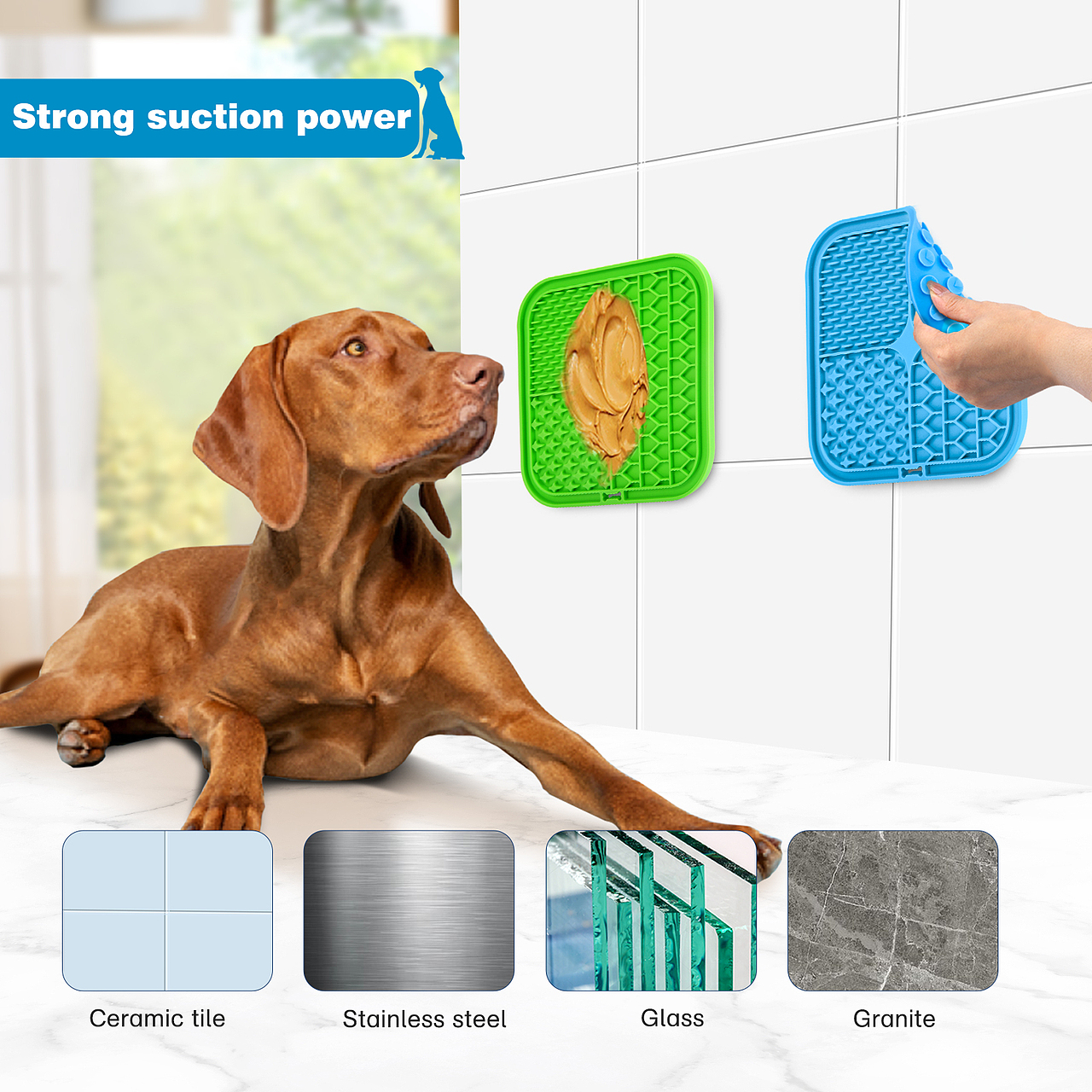 亚马逊宠物用品主图a+汇总