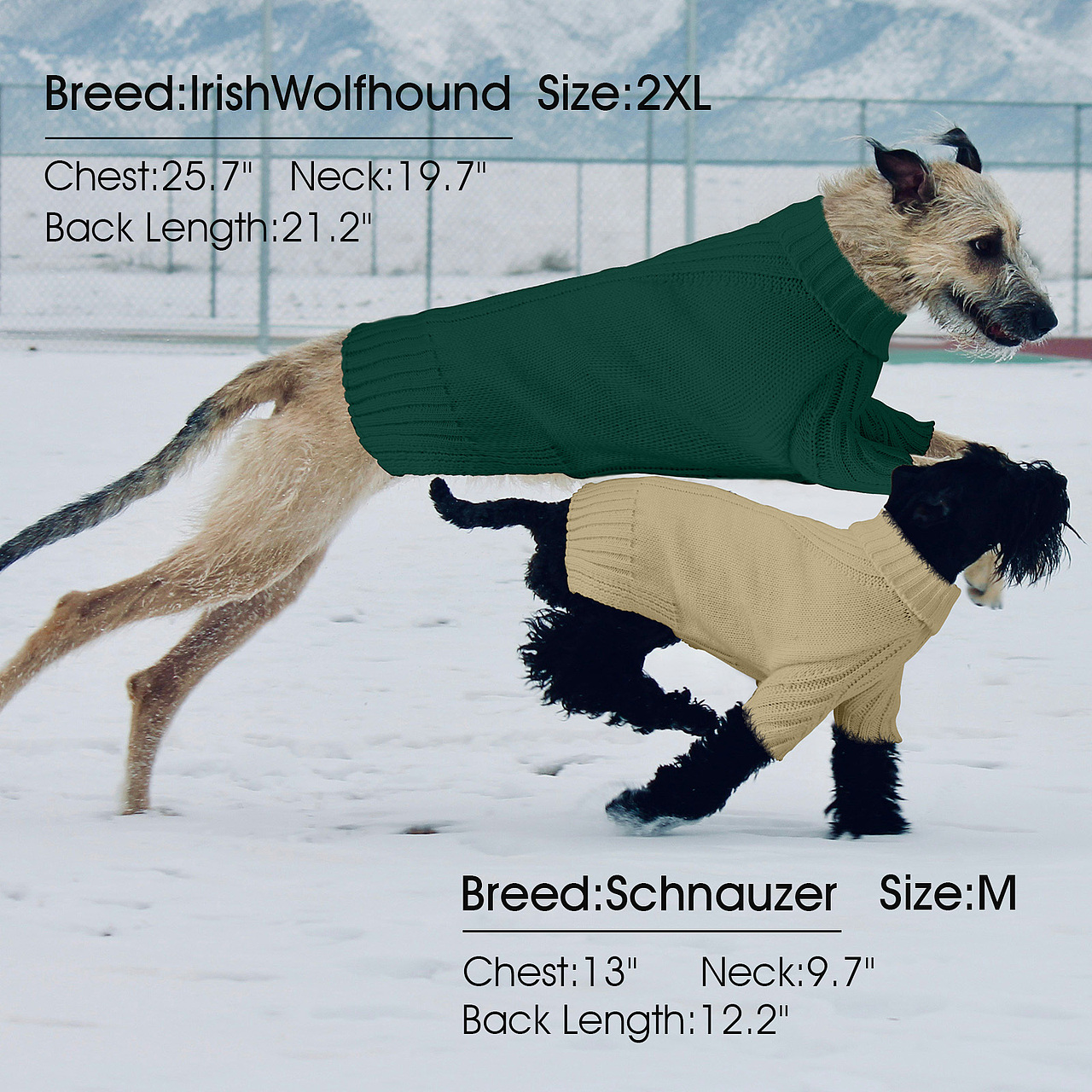 亚马逊宠物用品主图a+汇总