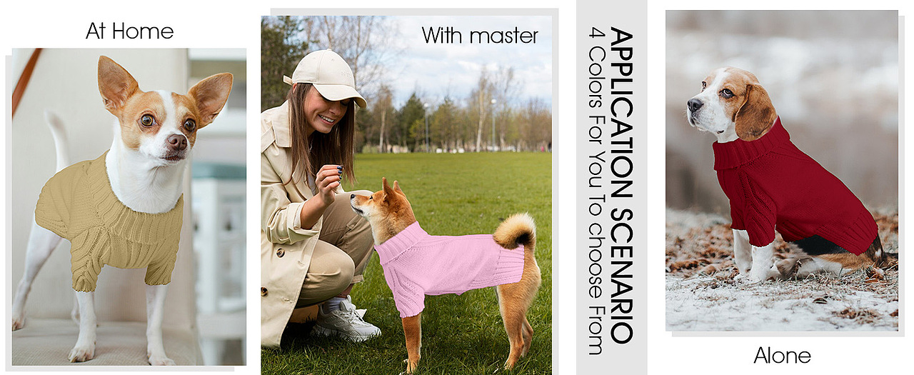 亚马逊宠物用品主图a+汇总