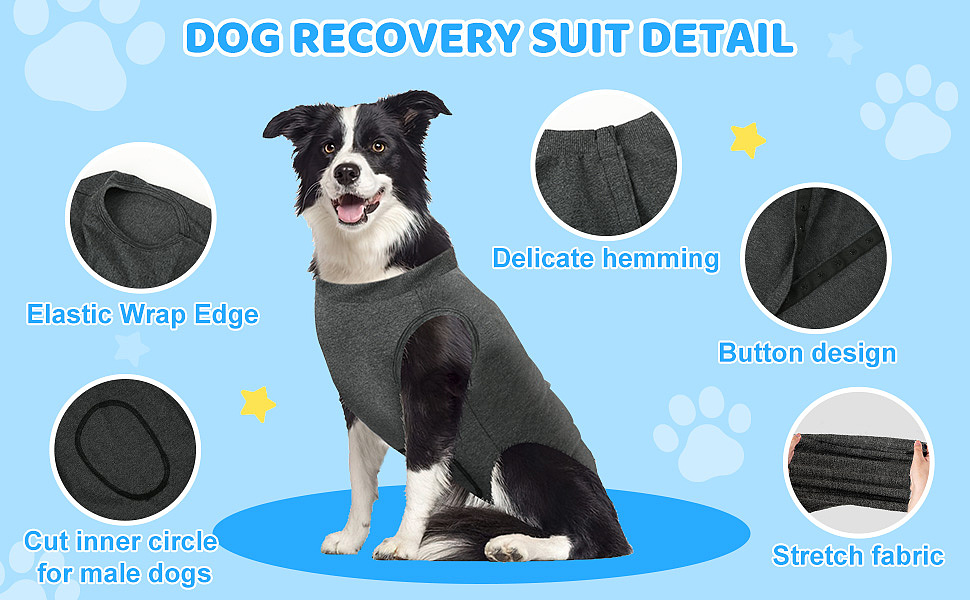 亚马逊宠物用品主图a+汇总