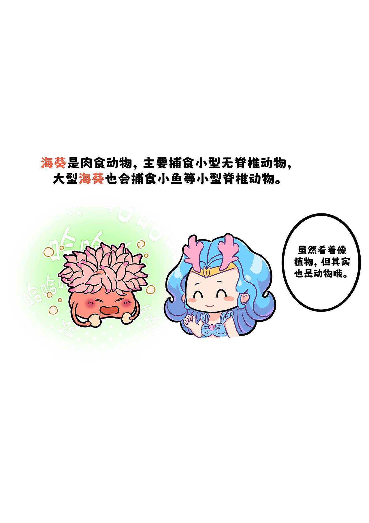 小丑鱼的共生伙伴?