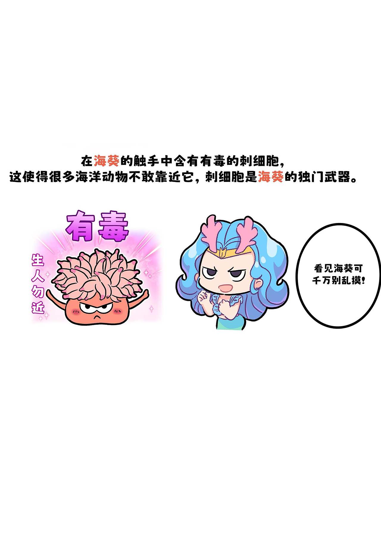 小丑鱼的共生伙伴?