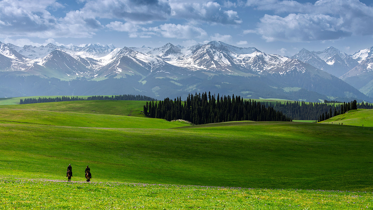 新疆伊犁喀拉峻草原初夏风光