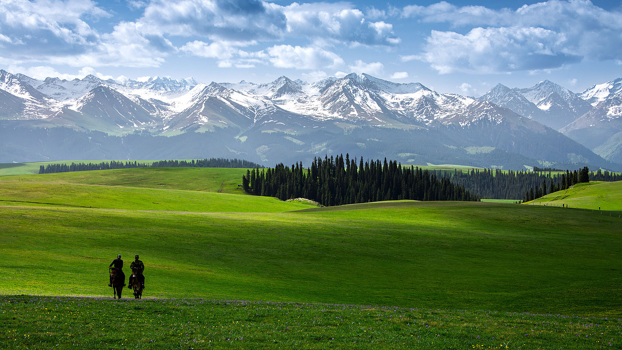 新疆伊犁喀拉峻草原初夏风光