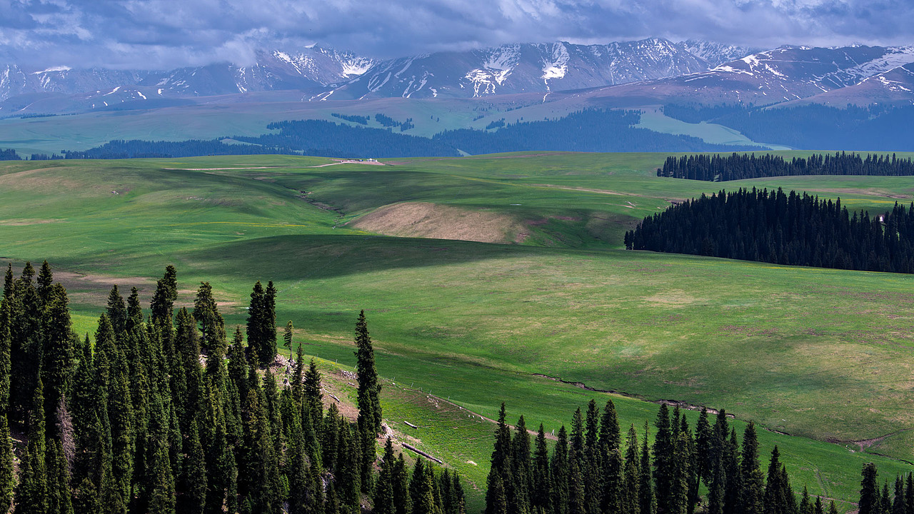 新疆伊犁喀拉峻草原初夏风光