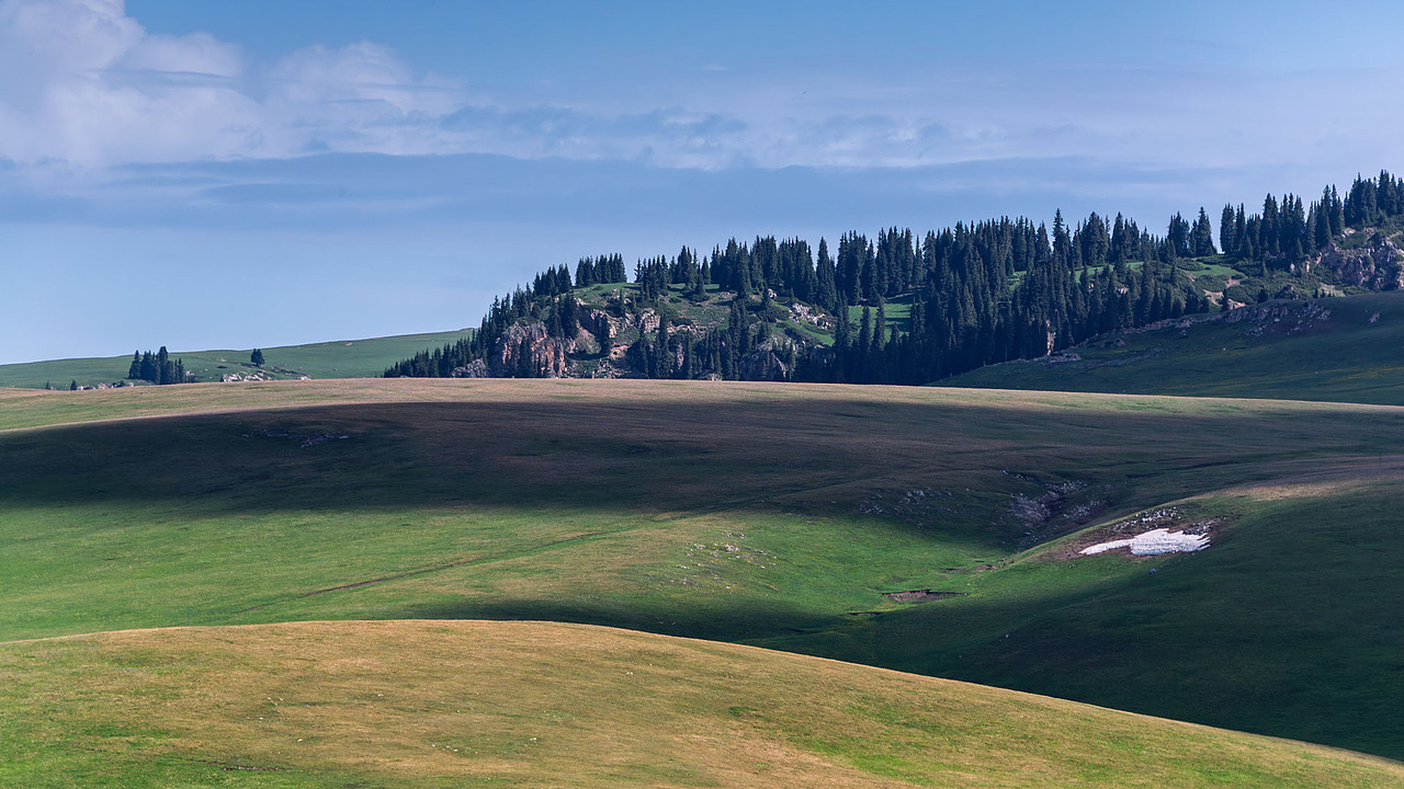 新疆伊犁喀拉峻草原初夏风光