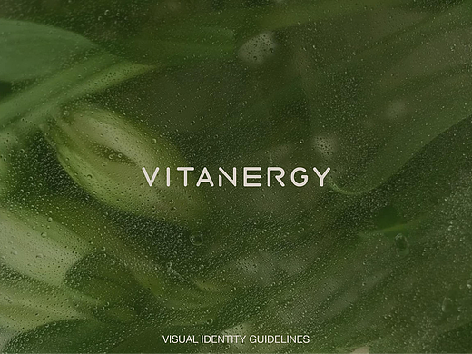 在窗台种一株会爬藤的维生素