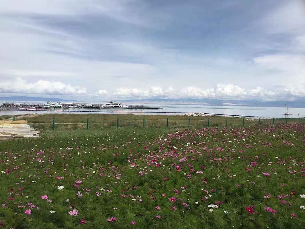 青海湖-蓝天白云绿草如茵（图ZMzkyMDIzNTky） - 风光摄影 - 站酷设计师影子老师原创素材 - 站酷ZCOOL