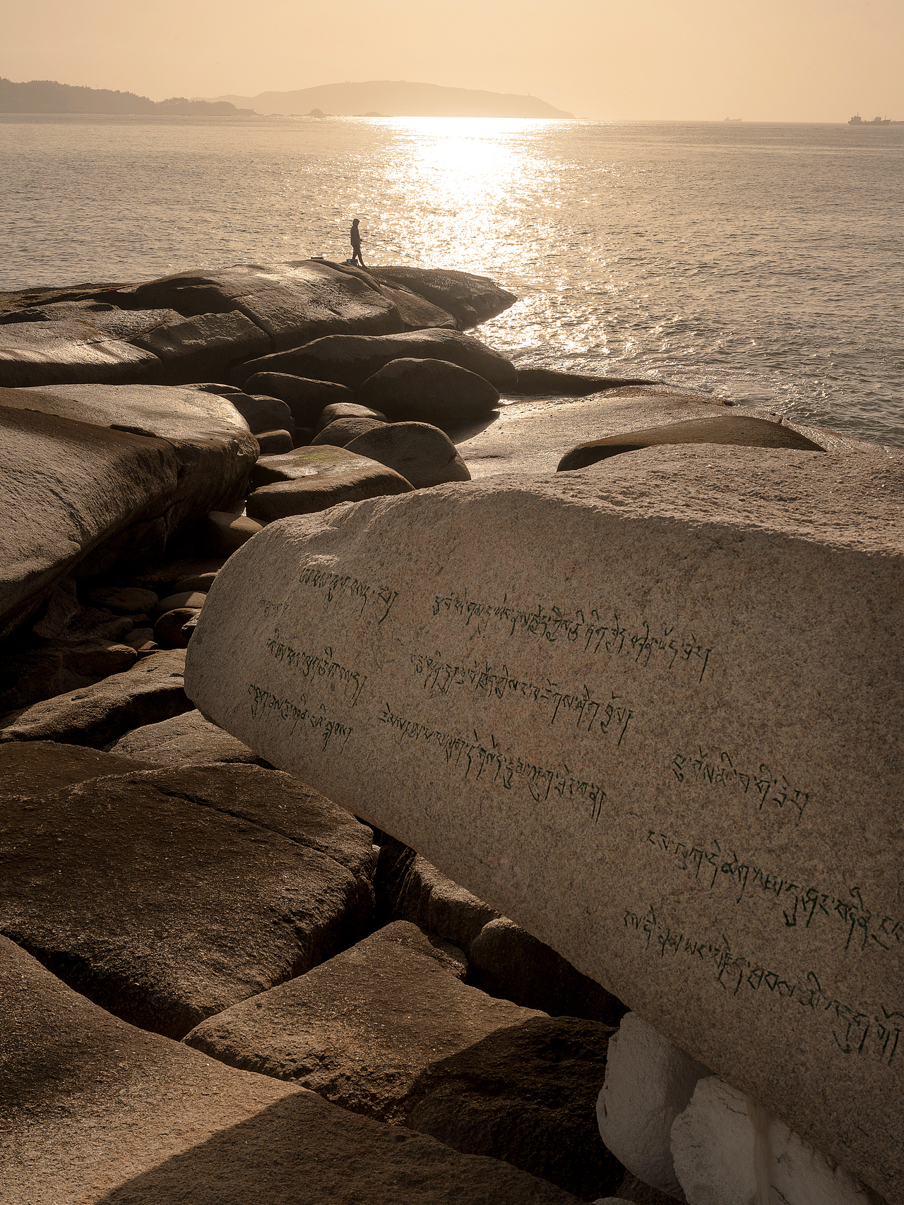 CCD | 東山島野奢避世哲學