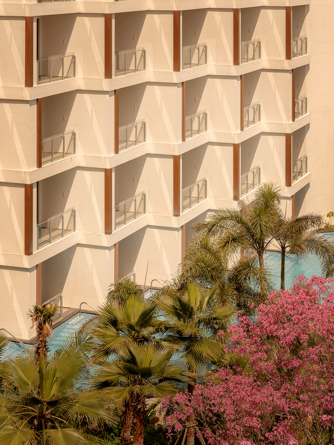 CCD | 東山島野奢避世哲學