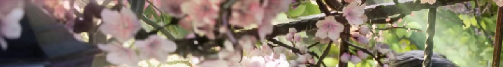 狗叫的驴的个人主页（封面预览） - 主页封面设置 - 站酷设计师狗叫的驴原创素材 - 站酷ZCOOL