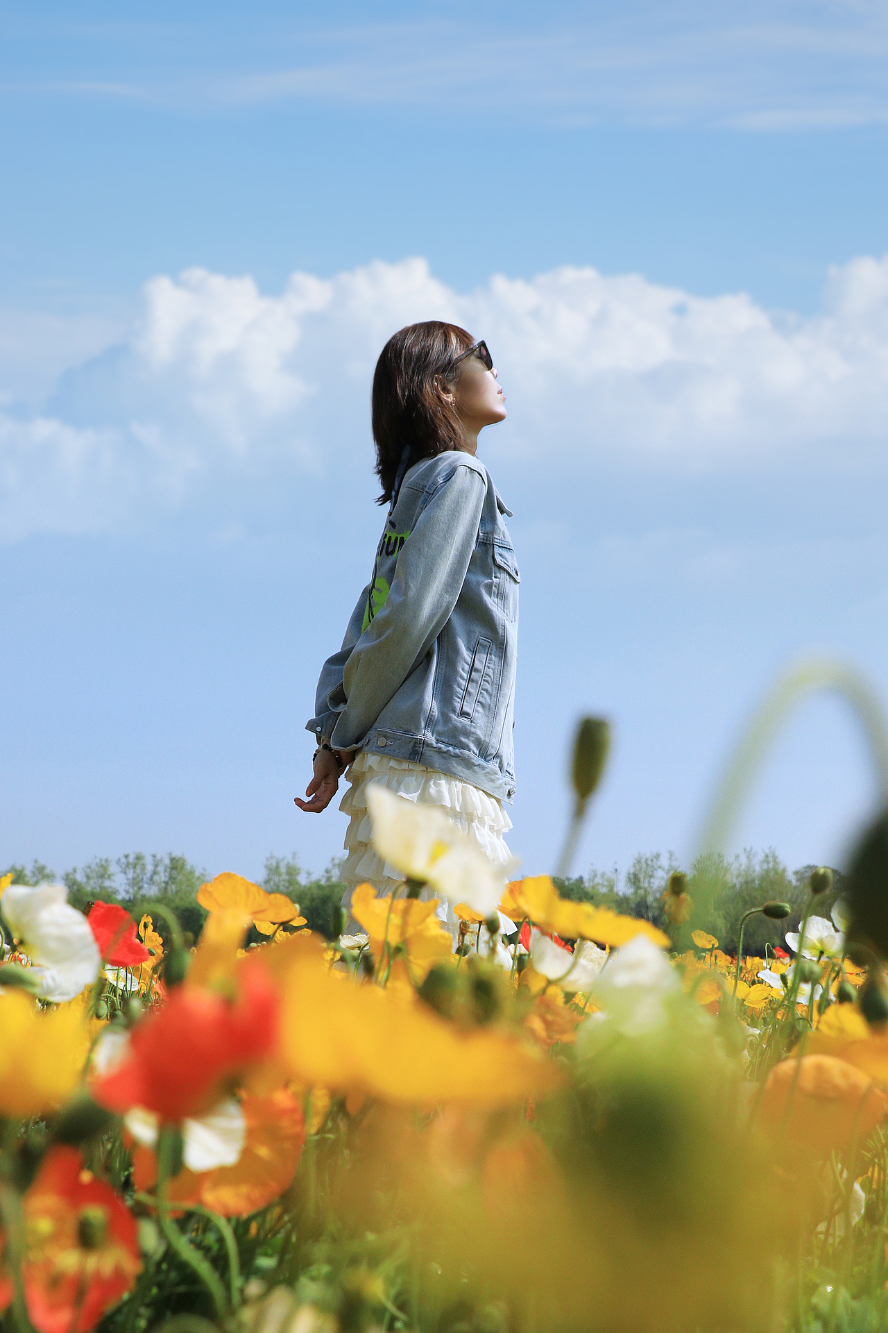 虞美人花海（图ZMzkyMDM0OTEy） - 人像摄影 - 站酷设计师Cherry_Rui原创素材 - 站酷ZCOOL