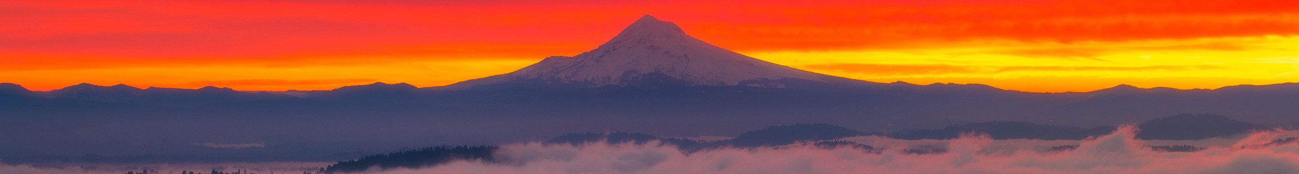 淡草莓的個(gè)人主頁（封面預(yù)覽） - 主頁封面設(shè)置 - 站酷設(shè)計(jì)師淡草莓原創(chuàng)素材 - 站酷ZCOOL