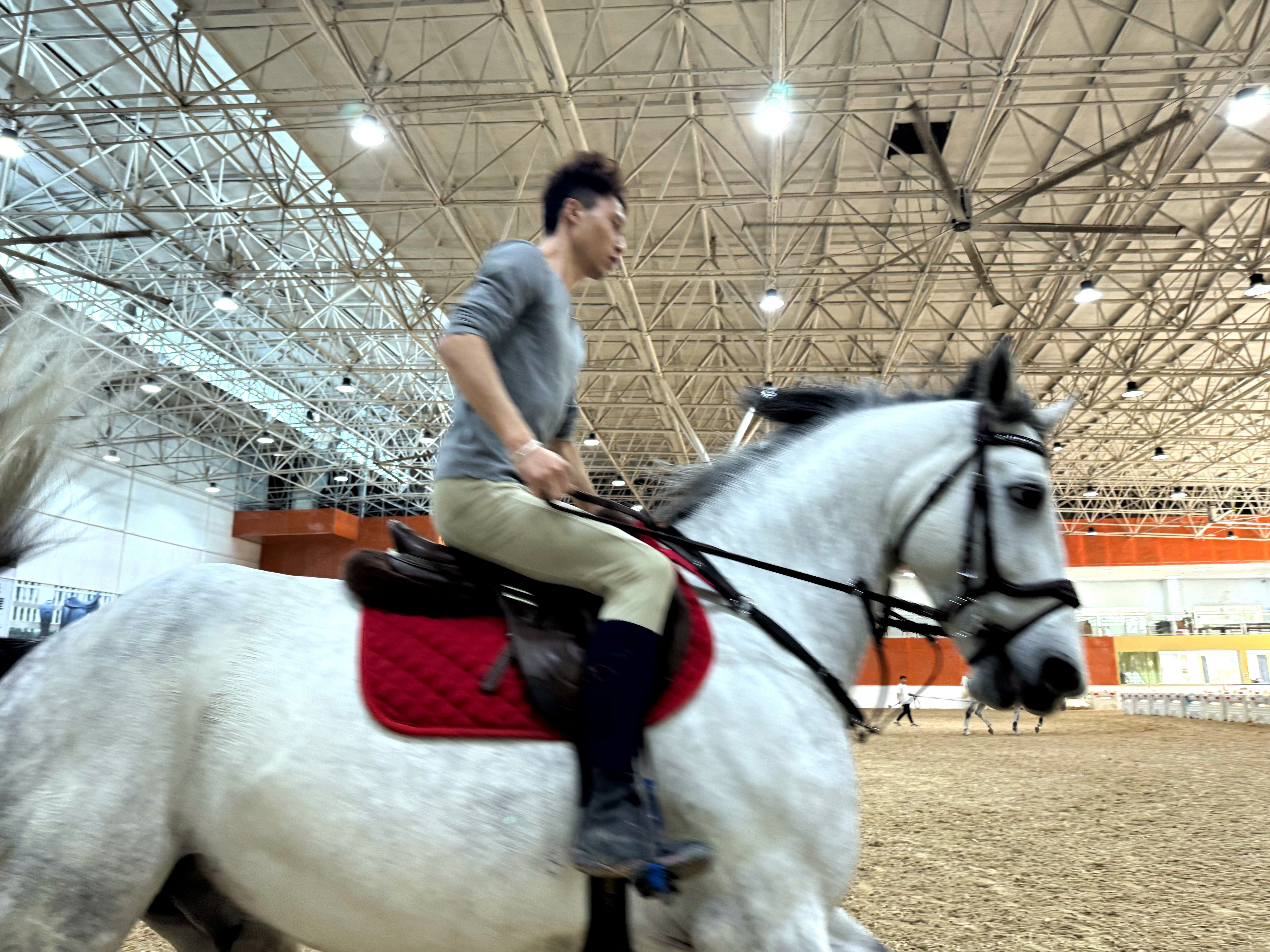 马背上的科技诗篇：IndoorLink无线讲解器与马术教学美学