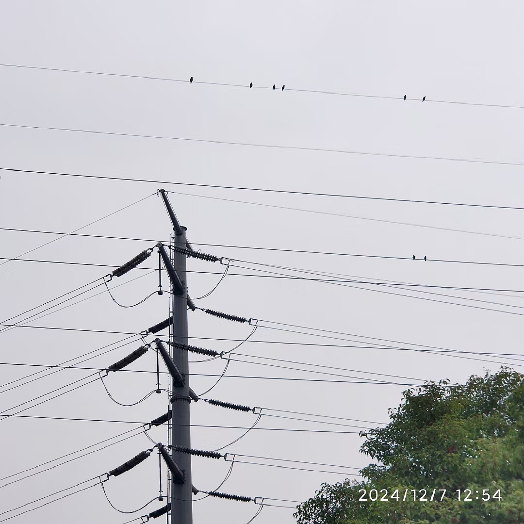 《城市五线谱》（图ZMzkyMDUyODg0） - 环境/建筑摄影 - 站酷设计师殷成志原创素材 - 站酷ZCOOL