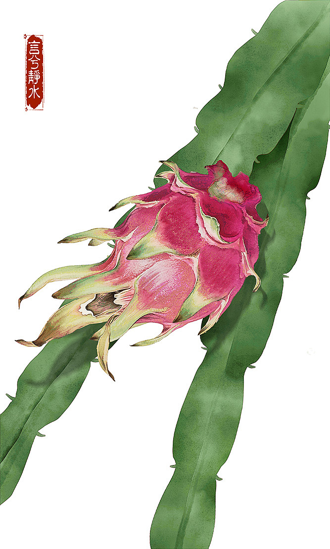 水彩水果插画的清新世界૮₍♡♡₎ა