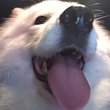 sleeeeeeping的头像