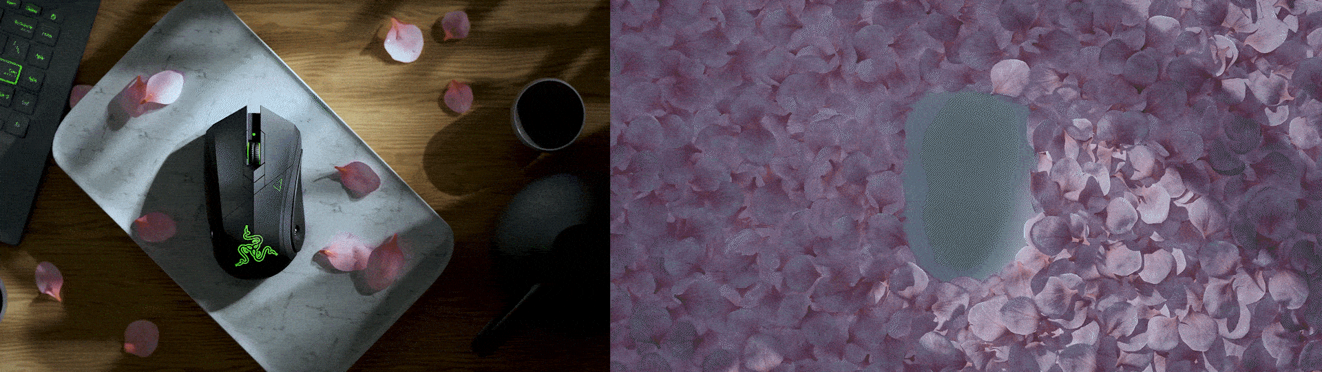 Razer-Orochi V2 - RazerBlade雷蛇 -ProjectD概念动画（图ZMzkyMDgwNDM2） - 动画/影视 - 站酷设计师菜菜菜o原创素材 - 站酷ZCOOL