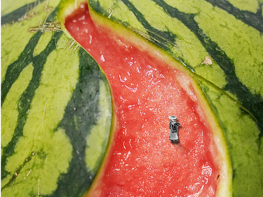 小红书吸粉百万的创意作品 ｜ 腔调vic