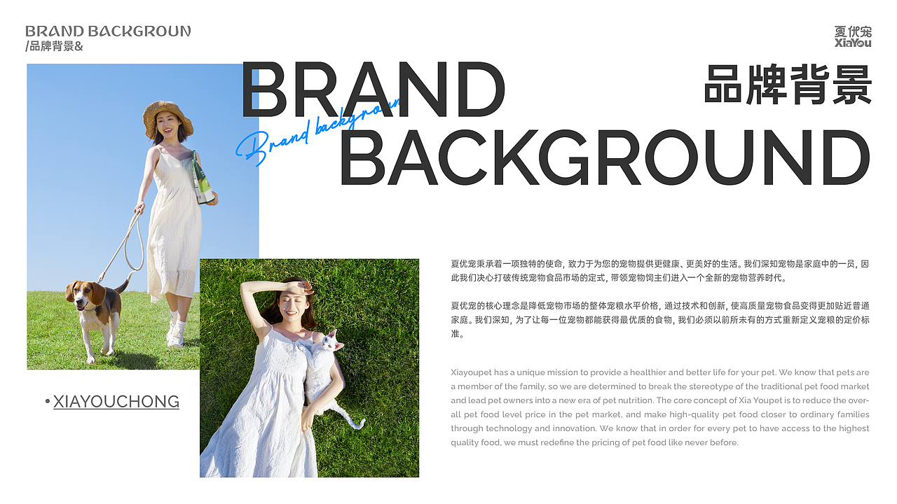 宠物品牌全案设计