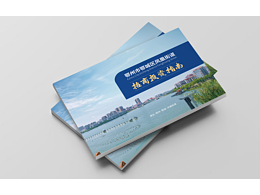 政府招商画册设计-深圳VI设计-深圳画册设计-智睿品牌
