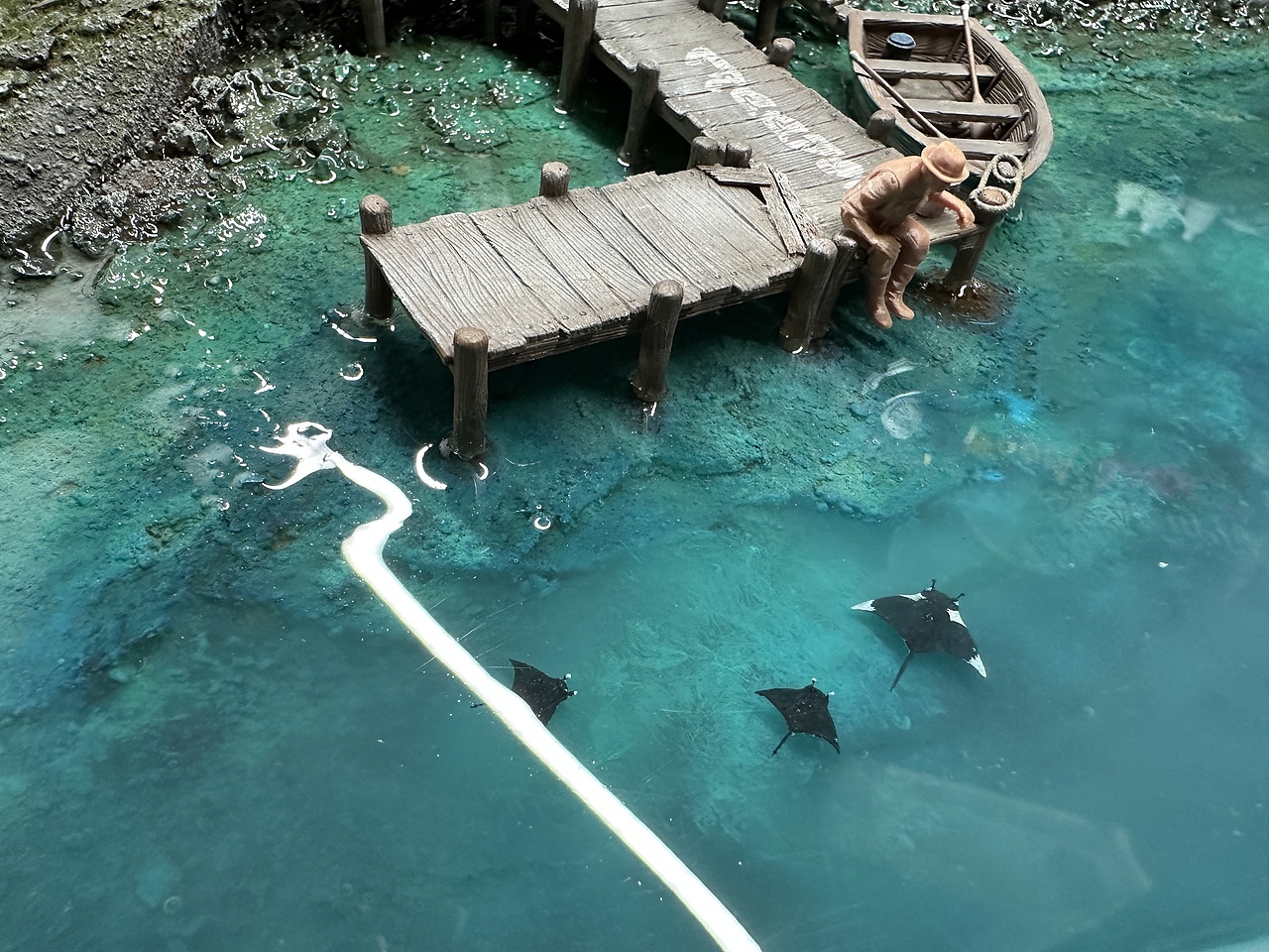 每个钓鱼佬的终极梦想场景就是这样吧！