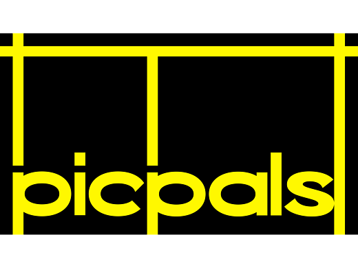 PICPALS[匹克球潮流运动品牌设计]