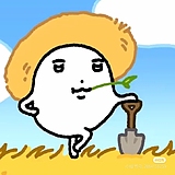 黄金薯条的头像