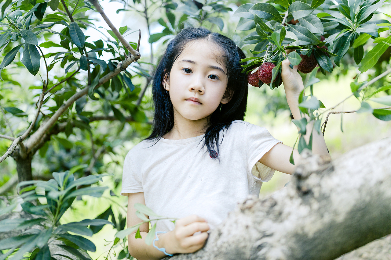 一起去仙居摘杨梅吧