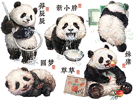 插画