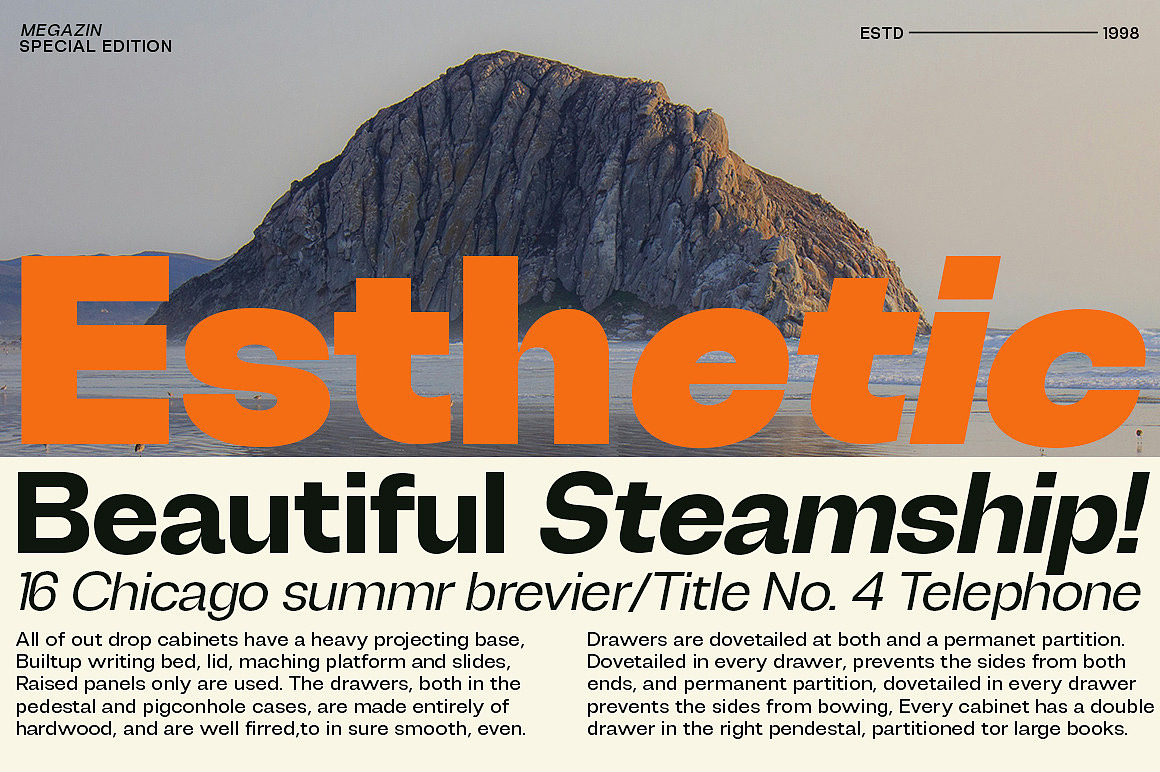 54款广告海报杂志画册封面标题排版无衬线英文字体家族