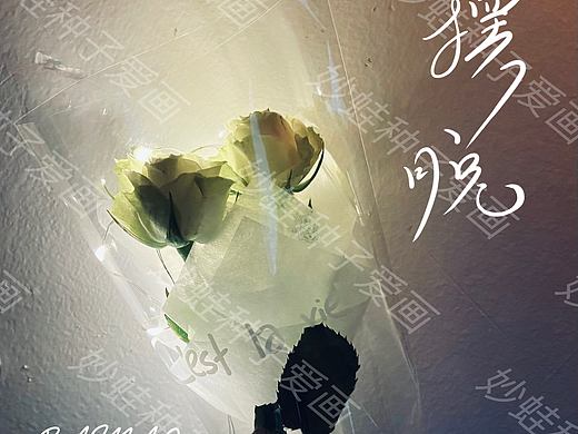 汽水音乐人封面设计