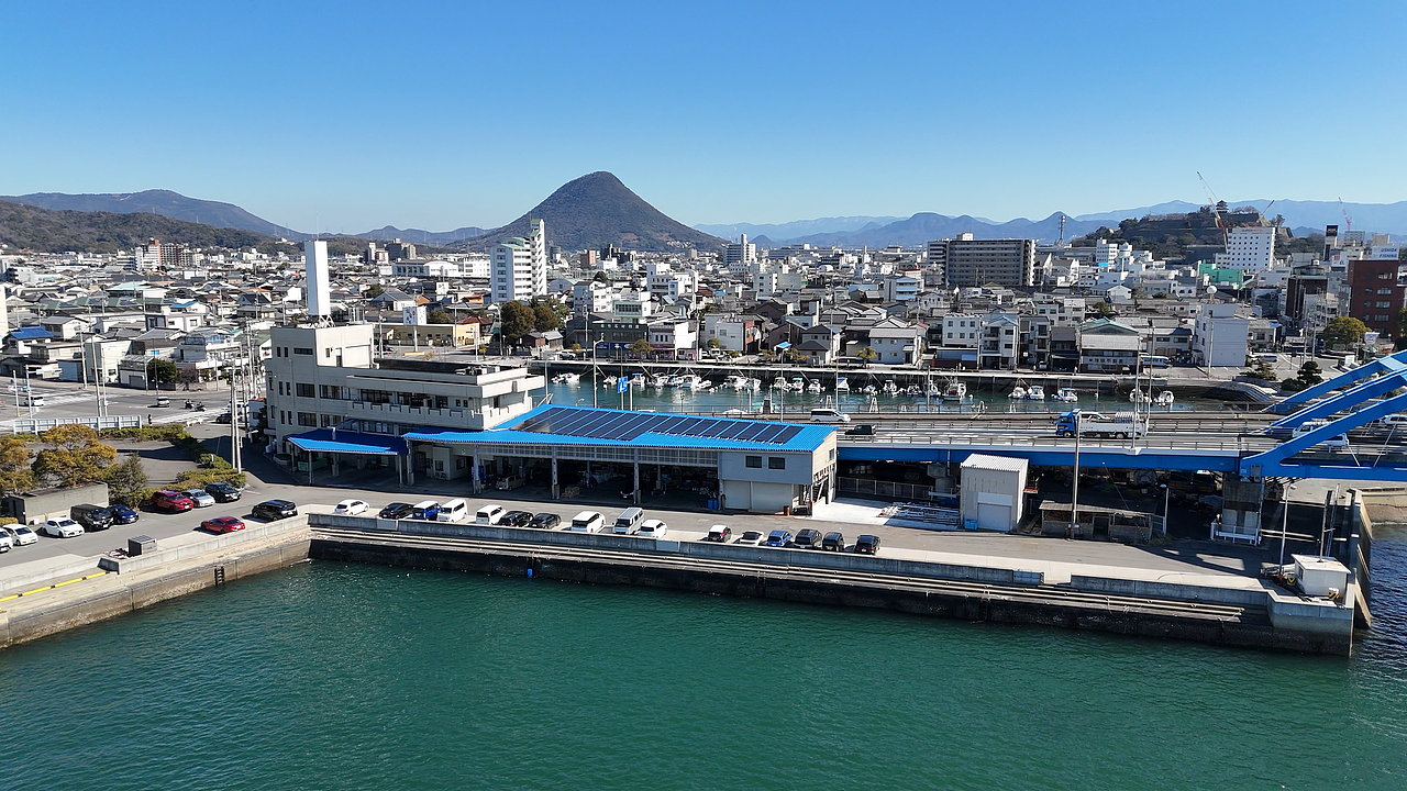 Japan Case Study 丸龟港储能案例项目