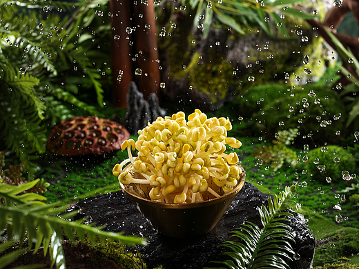 郑州火锅拍摄  郑州菜谱设计 郑州美食摄影