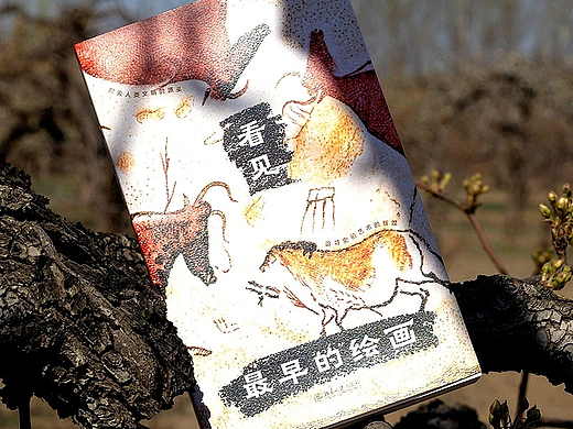新作书籍设计集