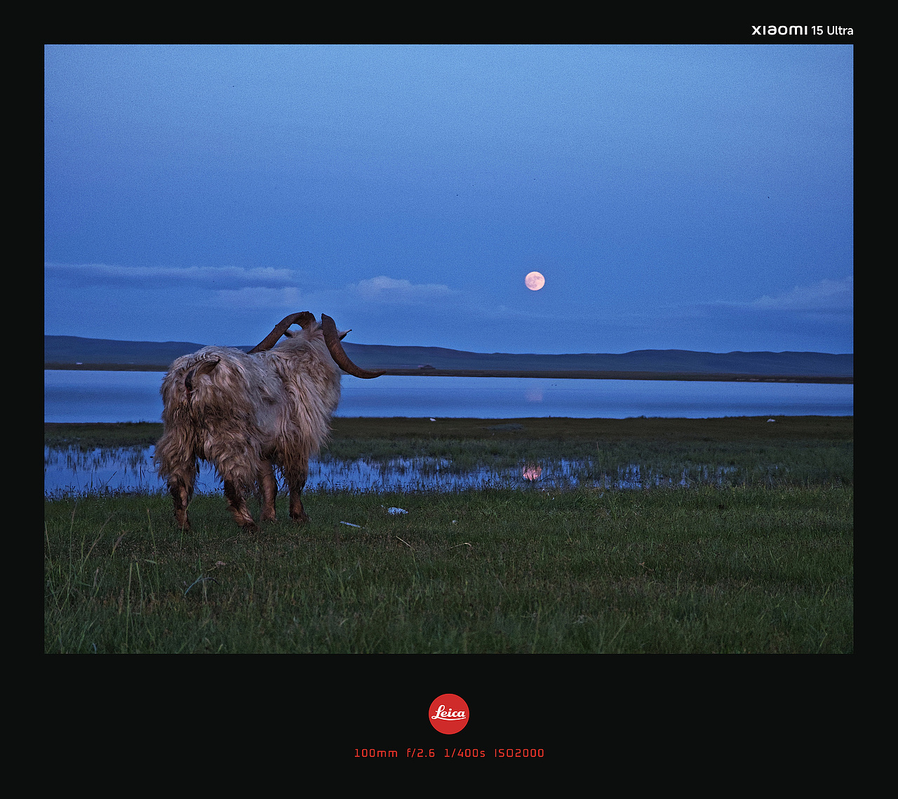 呼伦贝尔-蒙古族牧民手机人文影像