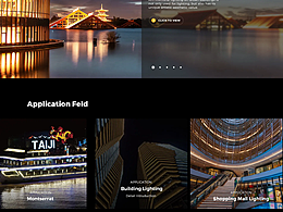 獨(dú)立站作品