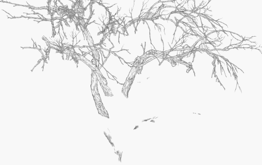 纪保超数字绘画单元素材拼合法实例(动图演示)