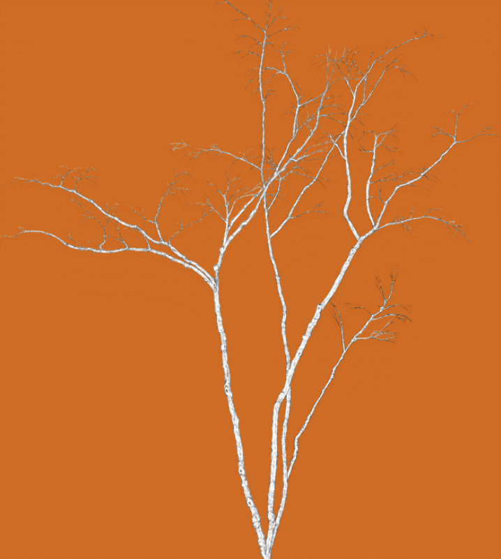 纪保超数字绘画单元素材拼合法实例(动图演示)