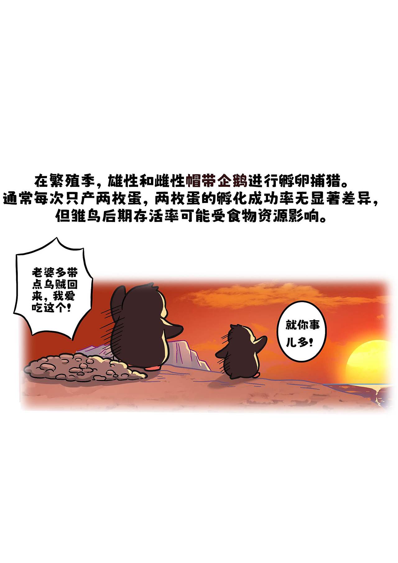 帽带企鹅如何繁育后代？