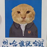 直子酱的头像