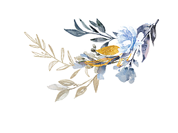 創(chuàng)意視頻合集2