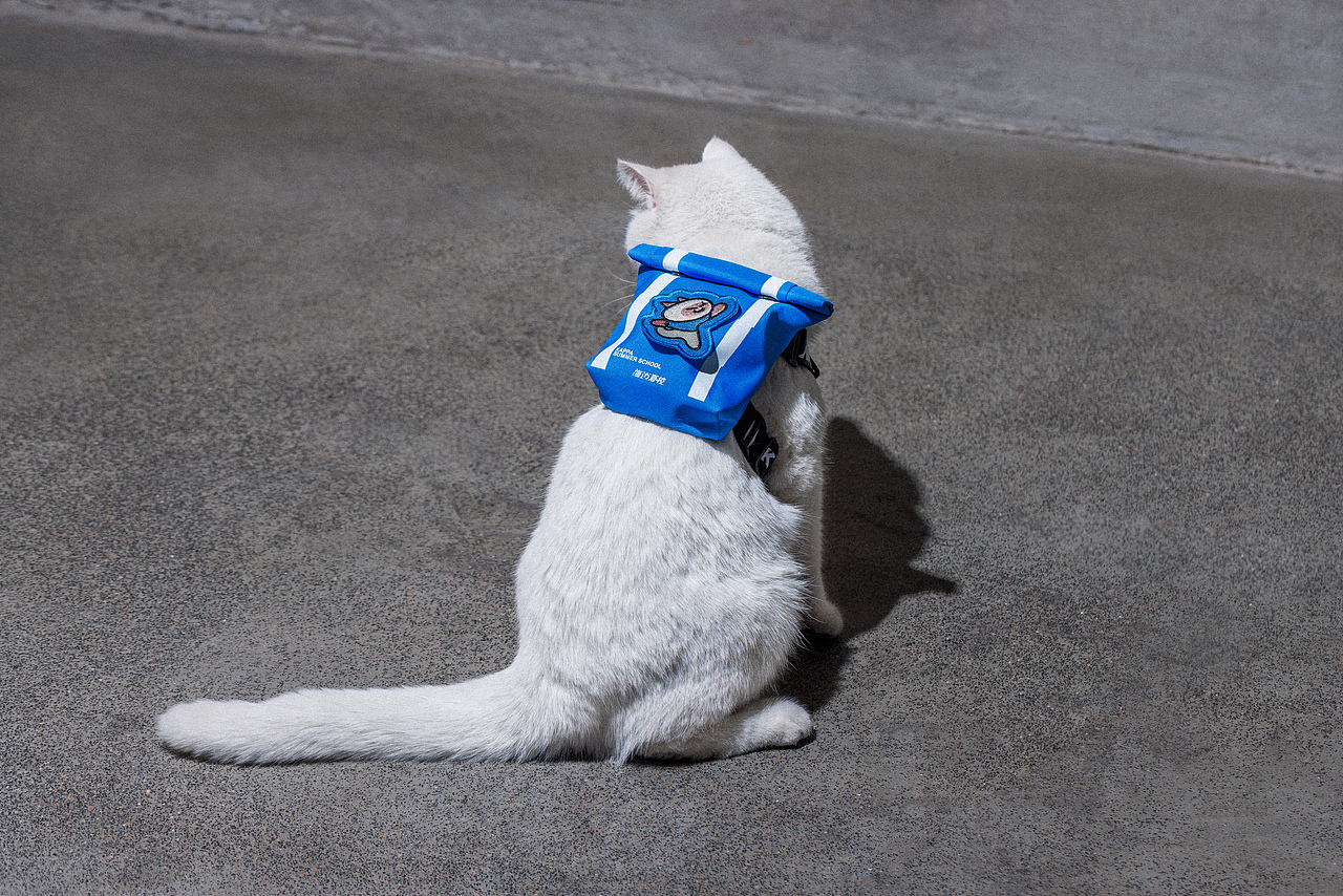 Kappa阿那亚海边夏校活动全案（图ZMzkyMjgwMjcy） - 品牌 - 站酷设计师outo_studio原创素材 - 站酷ZCOOL