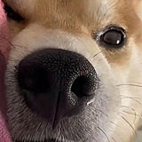 blue_品牌_三维的头像