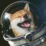 chnnz的头像