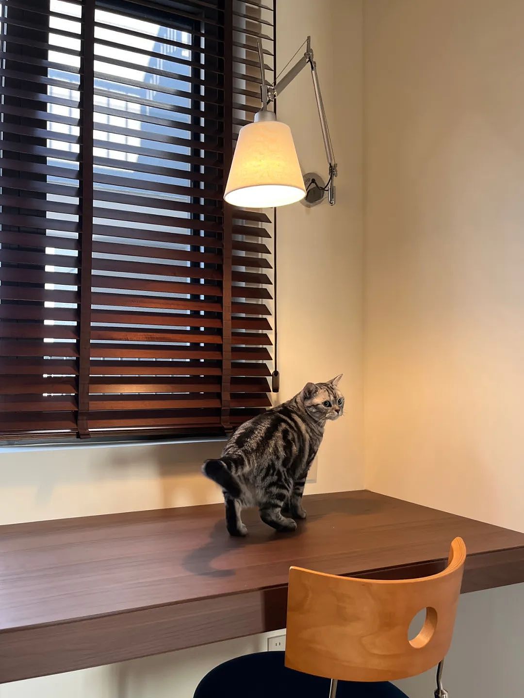 壹石实景 | 让房子长出自己的个性，精装新生（图ZMzkyMjkzNzUy） - 家装设计 - 站酷设计师壹石设计原创素材 - 站酷ZCOOL