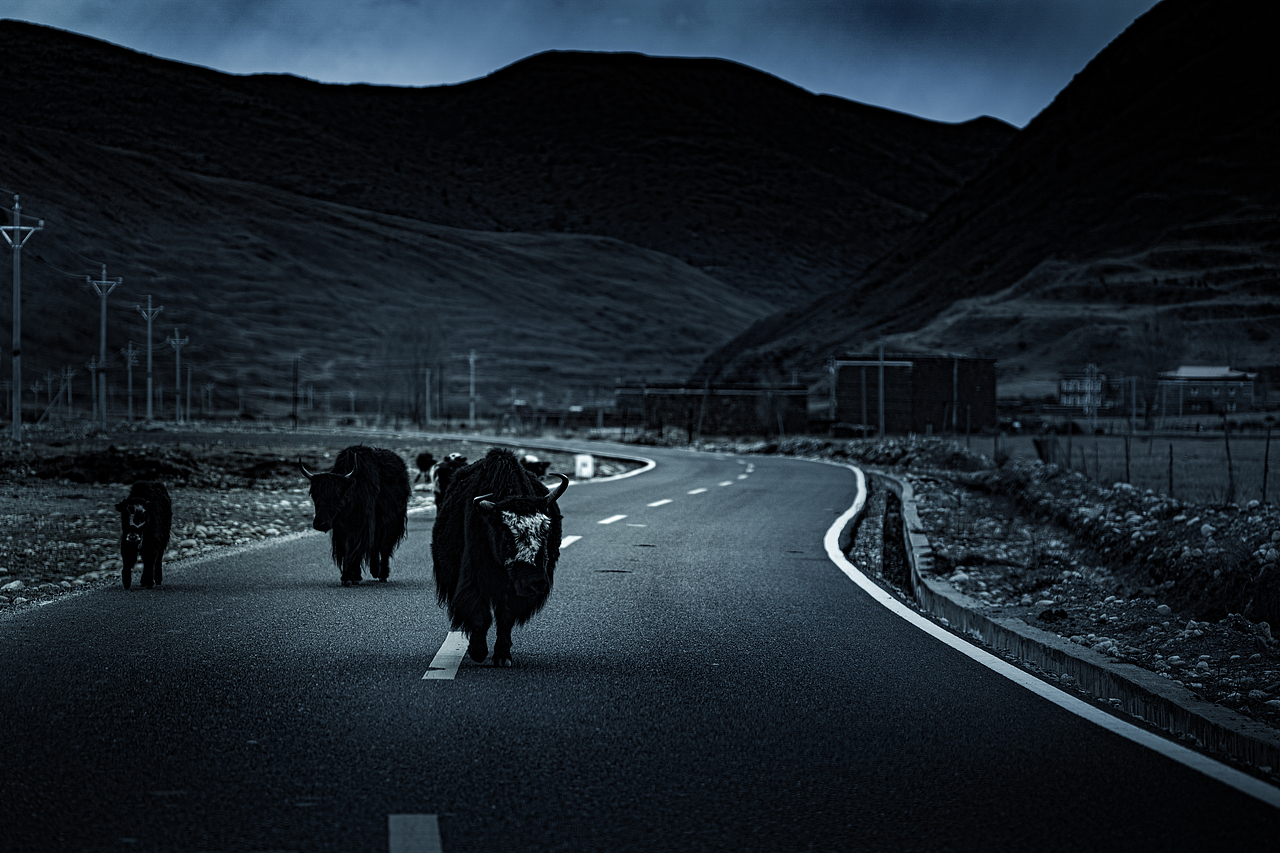 G318上的一些见闻（图ZMzkyMjk4NTg0） - 风光摄影 - 站酷设计师哐当美食摄影原创素材 - 站酷ZCOOL